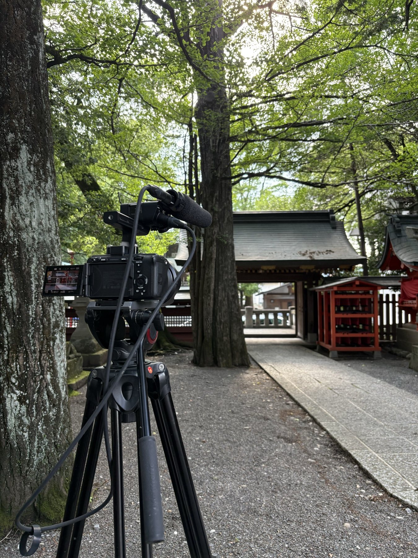 撮影現場に据えたカメラ